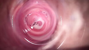 Camera deep inwards Stepsister'_s teenage mammary vulva